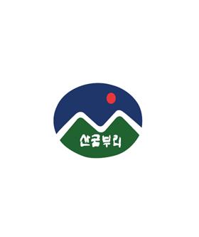 김대식