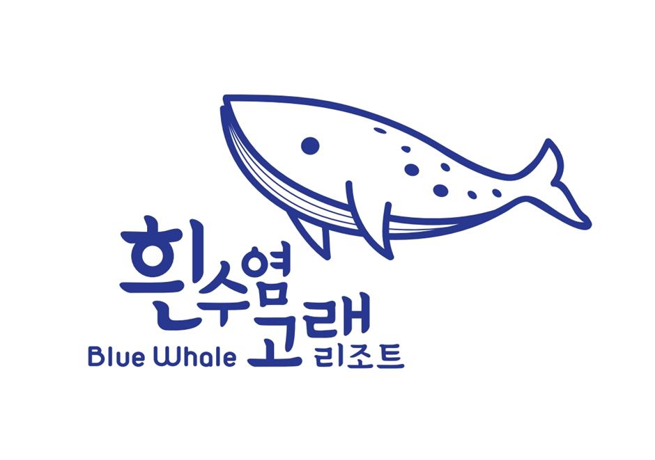 백정훈