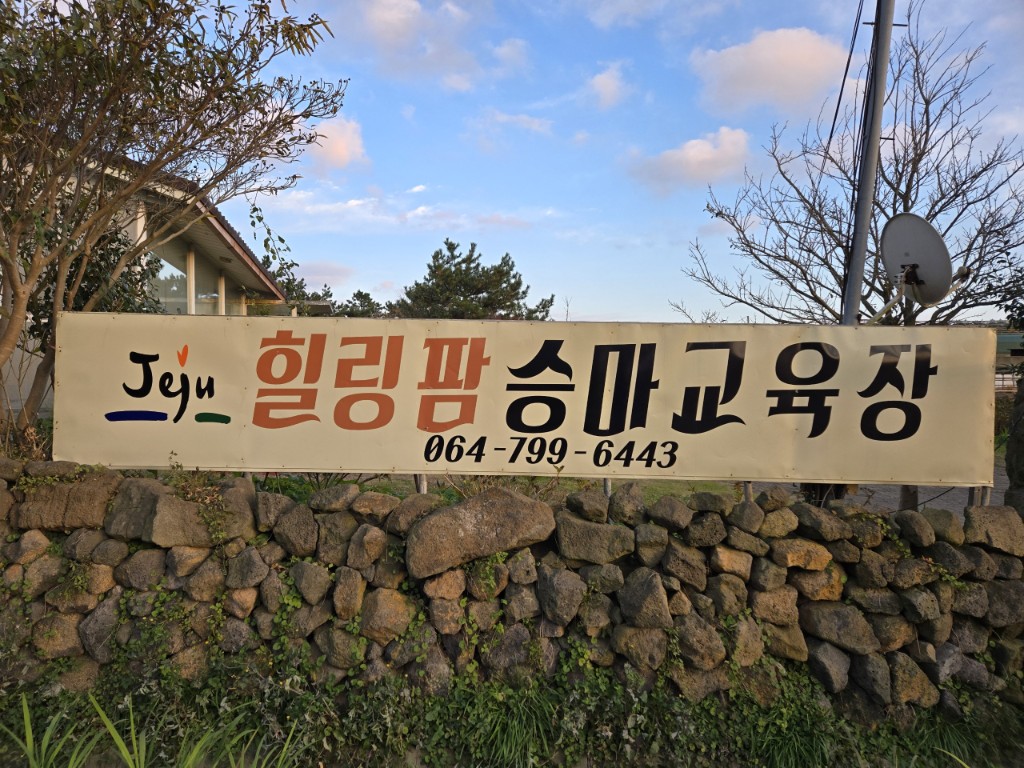 현경삼